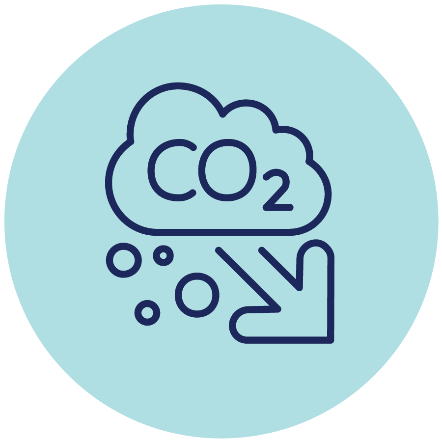CO2 icon